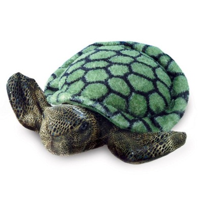 Żółw TONNY 18cm PIĘKNY z groszkiem w brzuszku