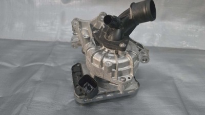 Насос води renault espace vi 1.2 e-tech 210100445r 46 tyś km фото №1