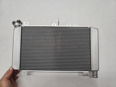 NEW CONDITION RADIATOR WATER KAWASAKI NINJA ZX-4R ZX4R 23R+ 39060-0758 - milautoparts-fr.ukrlive.com