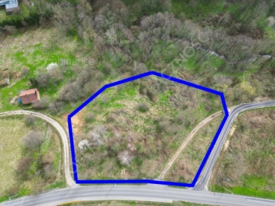 Działka, Prałkowce, Krasiczyn, Przemyski, 4274 m²