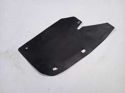 GUARDABARROS PARTE TRASERA IZQUIERDO FORD F150 RAPTOR 2011-2014  