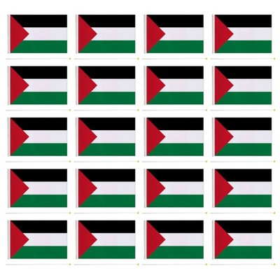 Flaga Izraela Flagi Palestyny Wiwatujące flagi