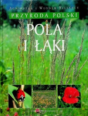 Agnieszka i Włodek Bilińscy - Pola łąki