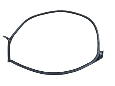 Audi r8 5.2 plus гумовий елемент прокладка двері права фото №1