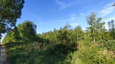 Działka, Nowe Łagiewniki, 901 m²