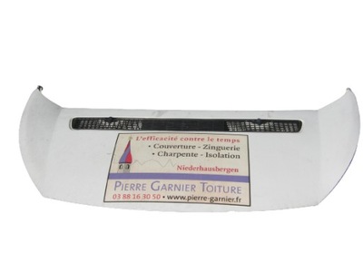 Капот перед scudo ii jumpy ii expert 06-16 europa фото №1