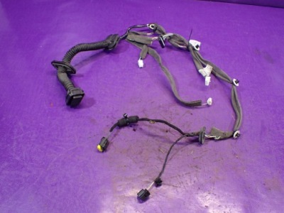 Scenic iii 3 джгут двері лівий перед 241252327r фото №1