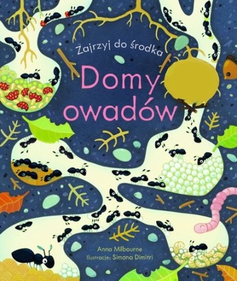 Domy owadów. Zajrzyj do środka