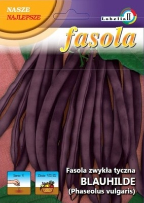 NASIONA Fasola BLAUHILDE szparagowa fioletowa