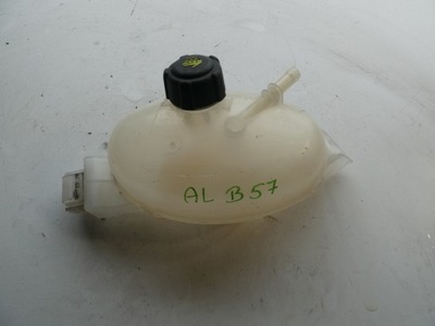 Master iii бачок расширительный 217100015r фото №1