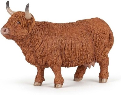 Krowa Highland Cattle