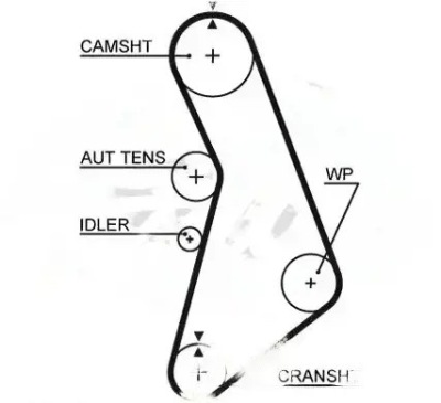Набір розподільного валу + насос водяна kp45491xs-2 gates vw фото №1