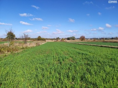 Działka, Lublin, 3520 m²