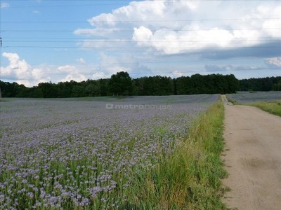 Działka, Szeplerzyzna, 1453 m²