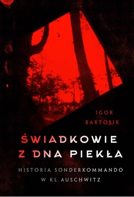 Świadkowie z dna piekła. Historia Sonderkommando