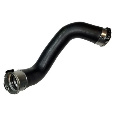 Bugiad 81788 шланг воздуха наддувочный фото №1