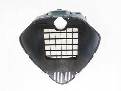 GILERA NEXUS 300 PROTECTION RADIATOR  