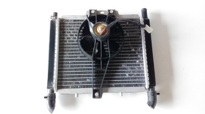 PEUGEOT GEOPOLIS 250 RS VENTILADOR DEL RADIADOR  