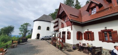 Dom, Sosnówka, Podgórzyn (gm.), 445 m²