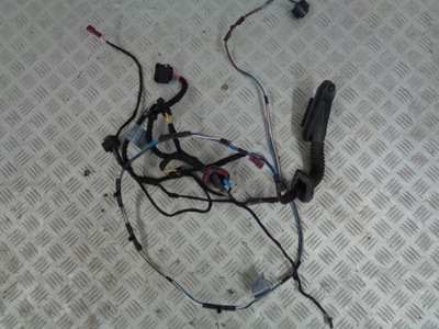 MINI COOPER R56 2010 JUEGO DE CABLES DE PUERTA IZQUIERDA IZQUIERDOS 9137753  