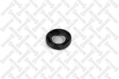 Oil seals