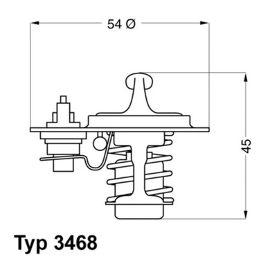 TERMOSTAT, VIDURYS AUŠINAMASIS BORGWARNER (WAHLER) 3468.88D 