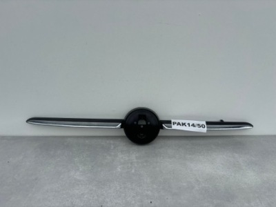 GRILL KÜHLERGRILL Z CHROMAMI FIAT 500 LIFT 735637413 PAK14/50