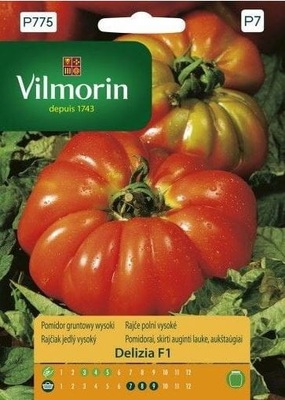 Pomidor gruntowy wysoki DELIZIA F1 VILMORIN
