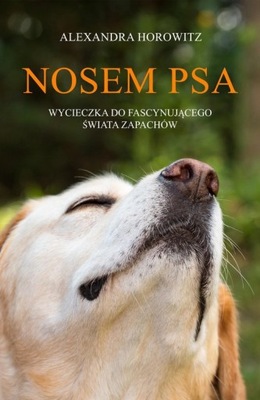 NOSEM PSA