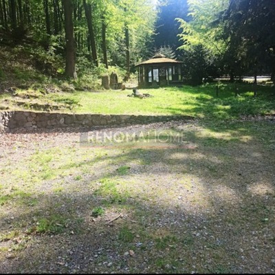 Dom, Pieszyce, Dzierżoniowski, 173 m²