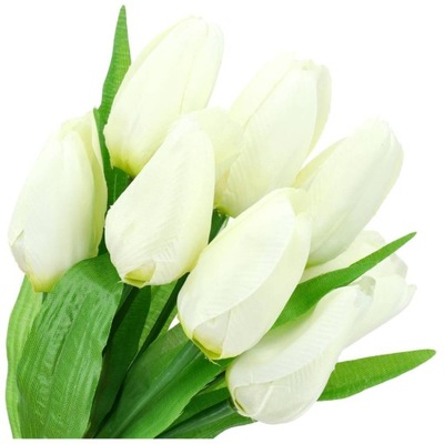 Tulipany Do Stroika Bukiet Tulipanów Tulipan W Bukiecie Na Wielkanoc