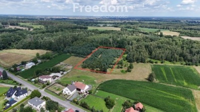 Działka, Niemodlin, Opolski, 11083 m²