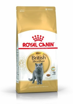 ROYAL CANIN British shorthair karma dla kota 4KG