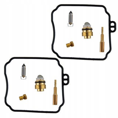 JUEGO ODBUDOWY CARBURADOR PARA HYOSUNG GV250 AQUILA  