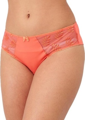 Panache Tango Brief Tigerlily UK 12 EU 38