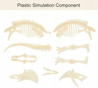 TRICERATOPS DINOZAUR SZKIELET 3D JAJO ZABAWKA