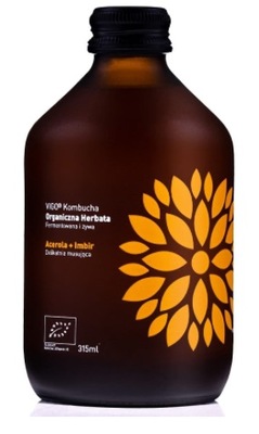 Kombucha Vigo 330 ml