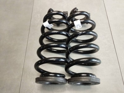 Audi q4 e-tron пружины задняя 2szt. 1ea511103g фото №1