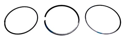 Dr.motor automotive комплект колец na поршень 1.0 ecoboost std фото №1