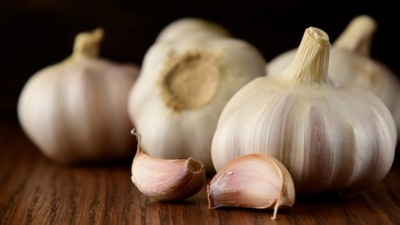 CZOSNEK 1 KG