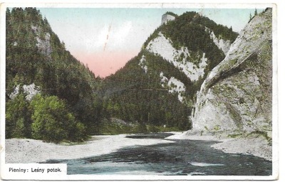 Pieniny - leśny potok