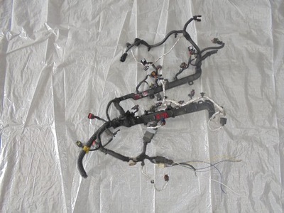 Электропроводка жгут двигателя jeep renegade 2.4 фото №1