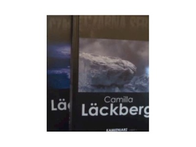 Kamieniarz cz.1 -2 - Camilla Lackberg