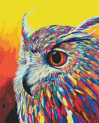 Malowanie po numerach OBRAZ Z RAMĄ 50×40cm Wielobarwna sowa