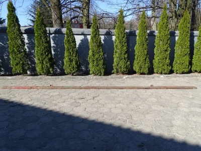 Iveco eurocargo ii рама левая bok рамы 17,5 782x18 фото №1