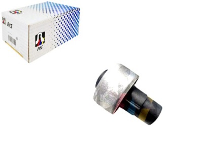 SILENT BLOC BRAS DE SUSPENSION RENAULT RTS 