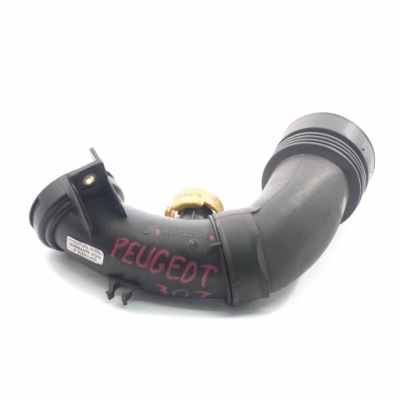 Peugeot 307 труба повітрозабірник повітря 1.6 hdi фото №1