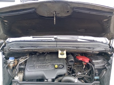 Citroen c4 picasso 06-13 жабо фото №1