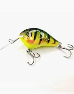 imperator 6,2 champion