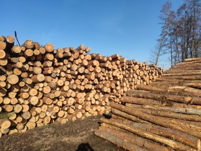 Drewno opałowe iglaste OPAŁ Kominek Drewno Kominkowe Drewno suche Tartak